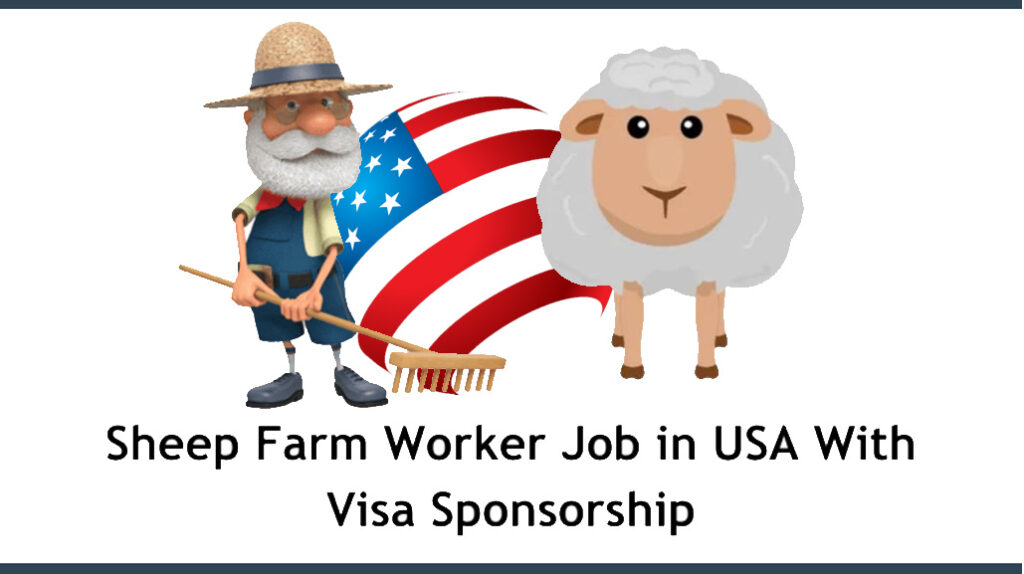 Sheep Farm Worker Job in USA With Visa Sponsorship